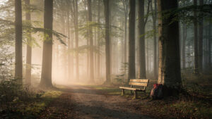 Photo credit: © AI-generated