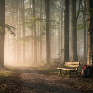 Photo credit: © AI-generated