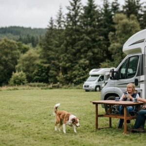 Wohnmobilstellplatz Wienerwald: Warum 90 m² Parzelle mehr wert sind als jede Sternebewertung